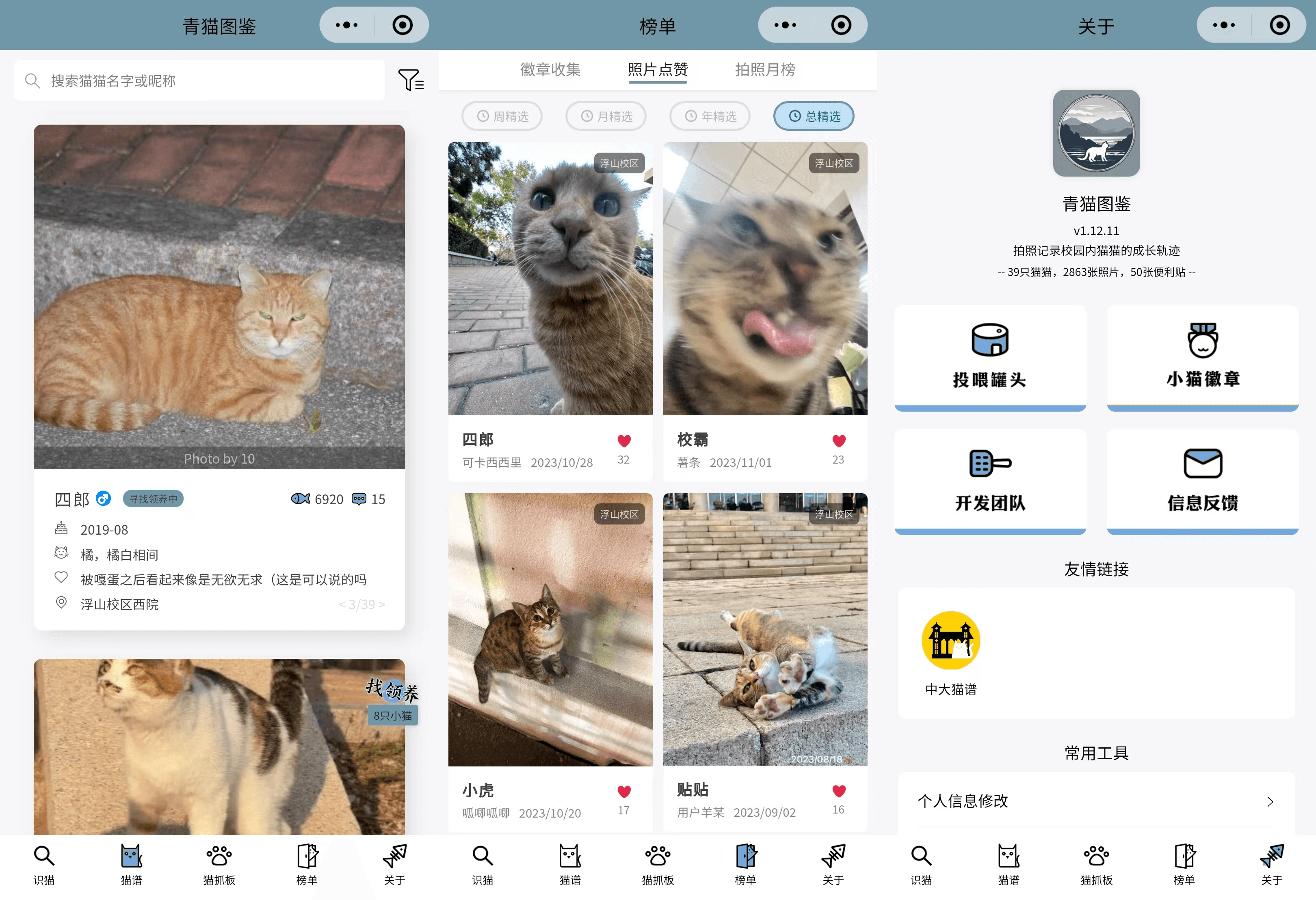 miniApp:QDU cat